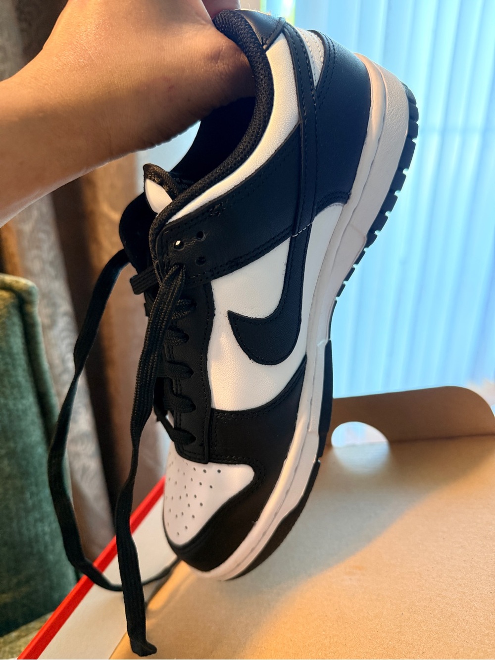 Nike Men’s Black and White Low-Top Sneakers